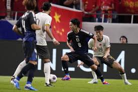 国内球迷的